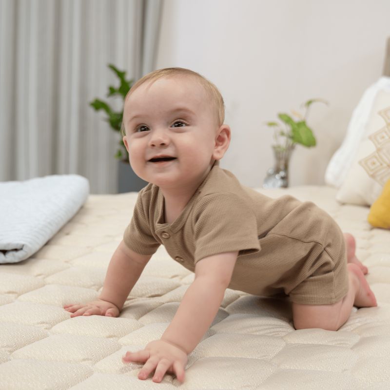 Conjunto Box Queen Mola Probel Prohotel Prime (158x198x56cm) - Imagem 6