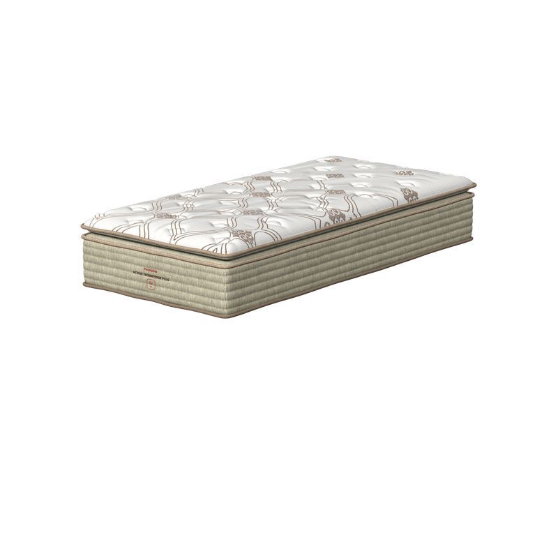 Conjunto Box Solteirão Espuma Prodormir Active Techintense Plus (100x200x58cm)